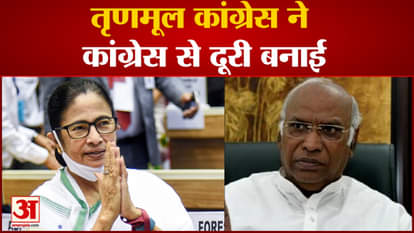 TMC distanced itself from Congress, protested outside Parliament House on the issue of Adani