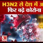 एच3एन2 वायरस