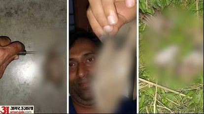Bihar's state bird sparrow killed, killer trolled on social media