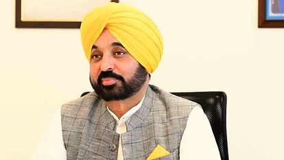 Bhagwant Mann said that everyone has right to put up posters in a democracy