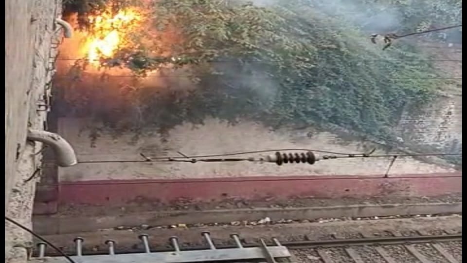 Tree branch fell on OHE trains did not run for an hour