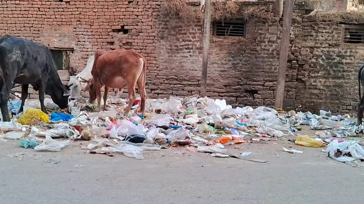 garbage heaps on streets of chhattisgarh bhatapara