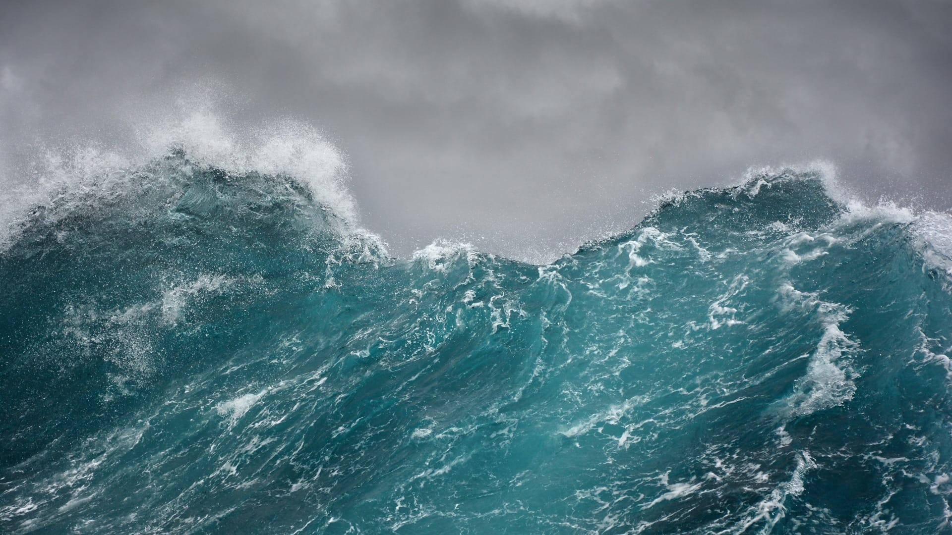 How Rising Sea Level Will bring Mass Extinction on Earth Know Reasons world news