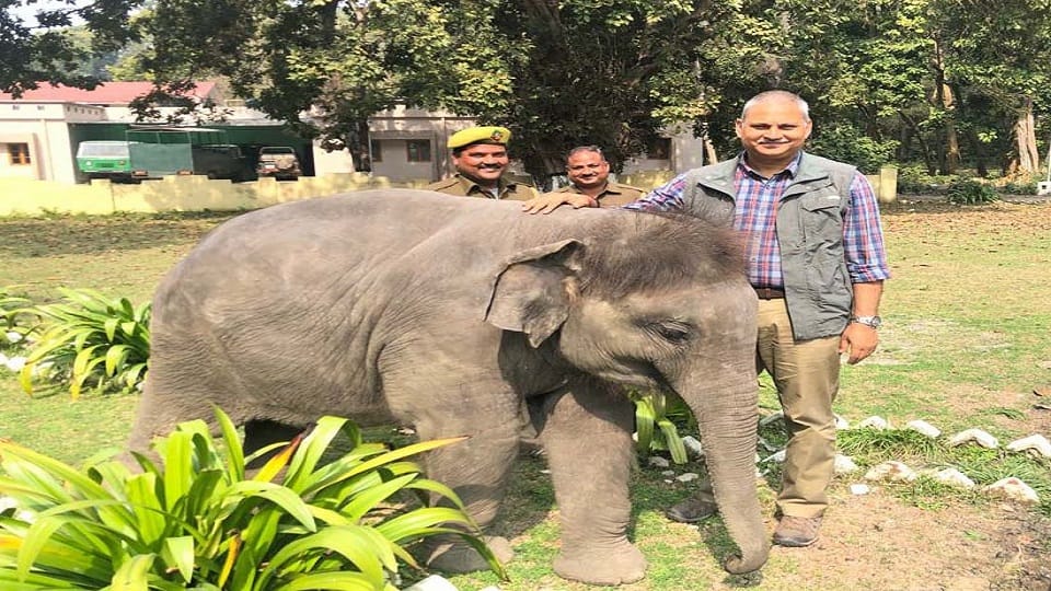 emotional stoty of mahavat Irshad and Elephant Durga in Dudhwa National Park