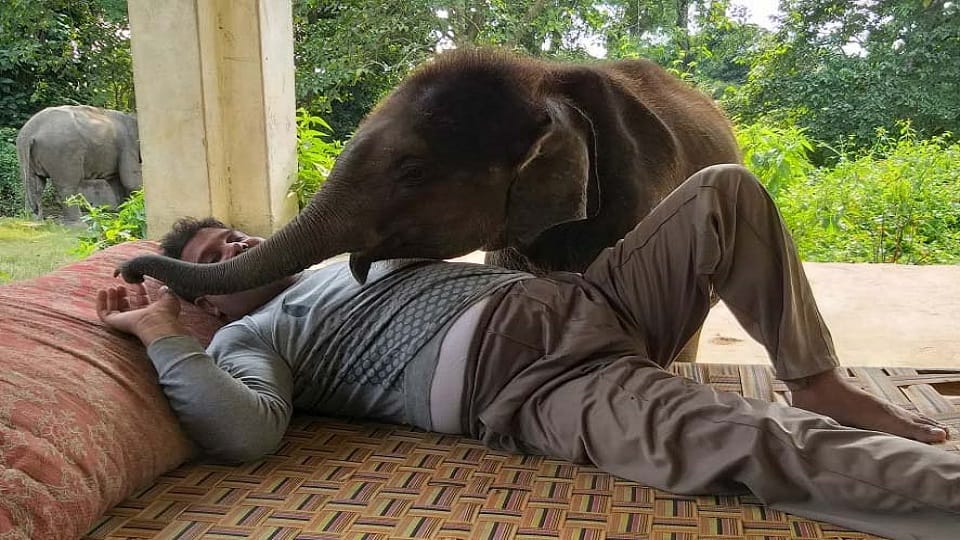 emotional stoty of mahavat Irshad and Elephant Durga in Dudhwa National Park