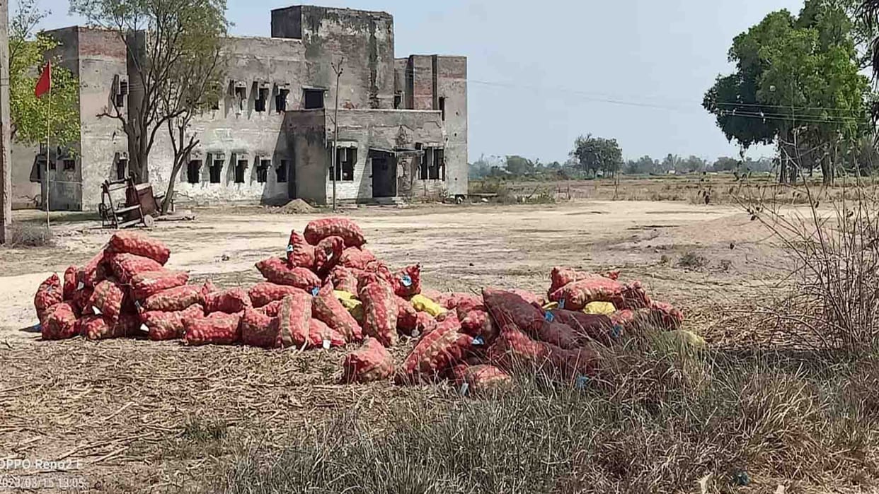 No price in the market, no space in cold storage, farmers throwing potatoes on the road