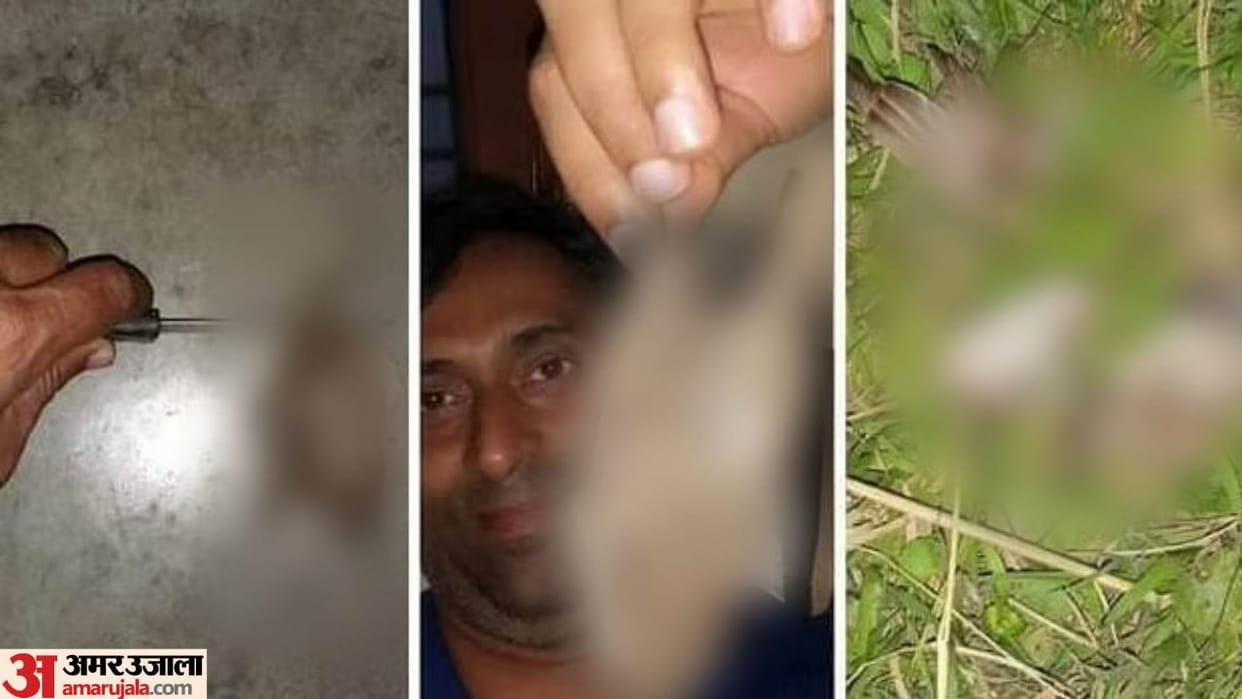 Bihar's state bird sparrow killed, killer trolled on social media