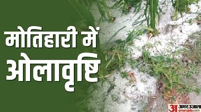 Bihar: Rain alert in Bihar today, moderate rain expected in 28 districts including Patna, Nawada