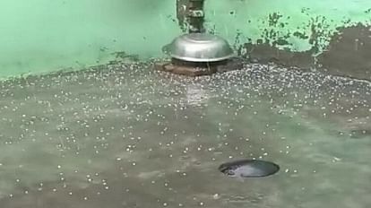 Aligarh News: किसानों के अरमानों पर फिरा पानी, ओले और बारिश से बिछी गेहूं की फसल छत पर बिखरे हुए ओले