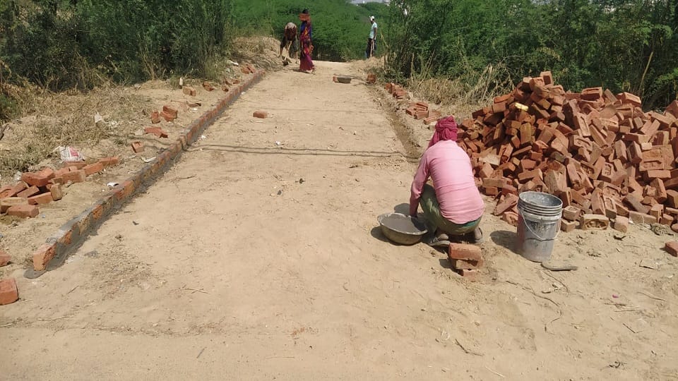 First city forest being prepared in 50 hectares in Nagla Budhi, digging of pond underway