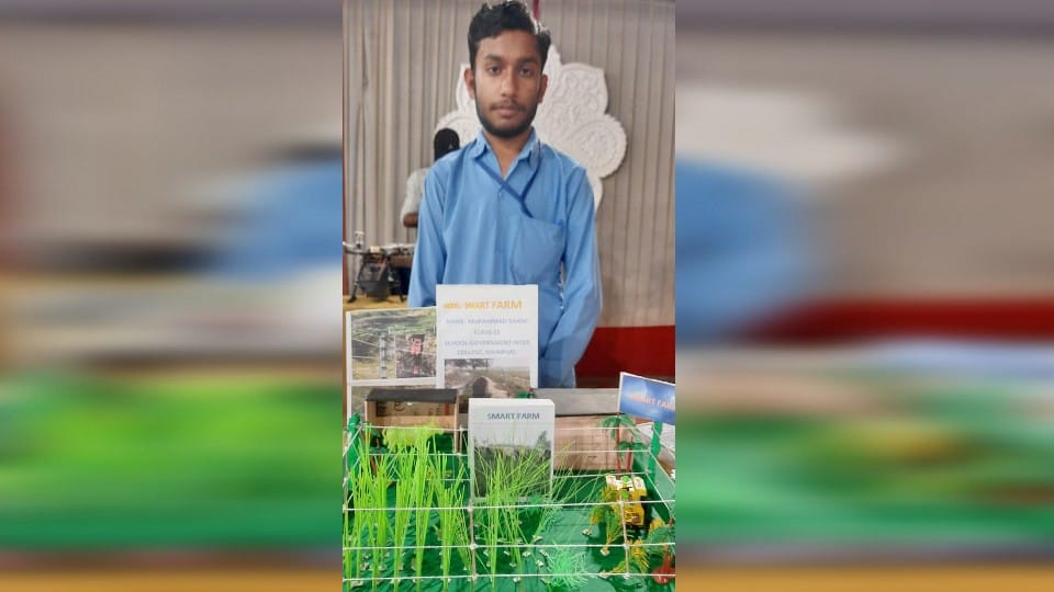 Son prepared unique device for father troubled by stray animals