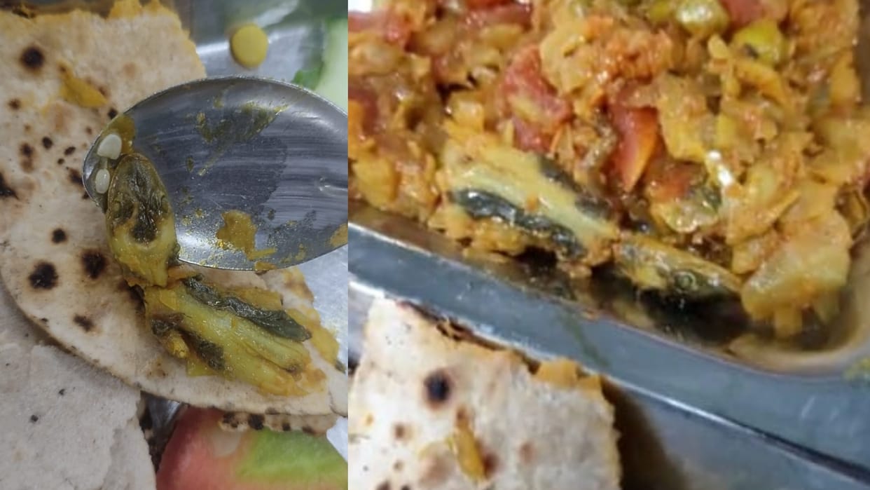 Dead lizard found in mess food of Central University of Rajasthan, students create ruckus
