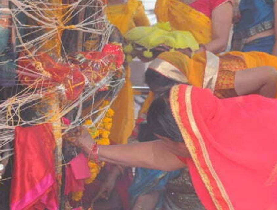 MP News: Dasha Mata Pujan, Peepal worshiped with wishes of happiness, prosperity and wealth