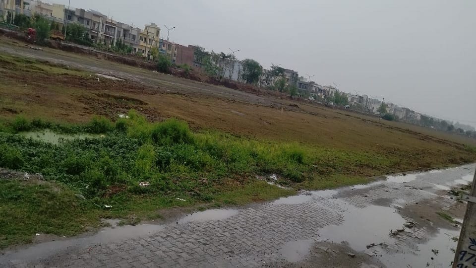 Intermittent rains in Haryana Farmers fear crop failure Meteorological Department warns