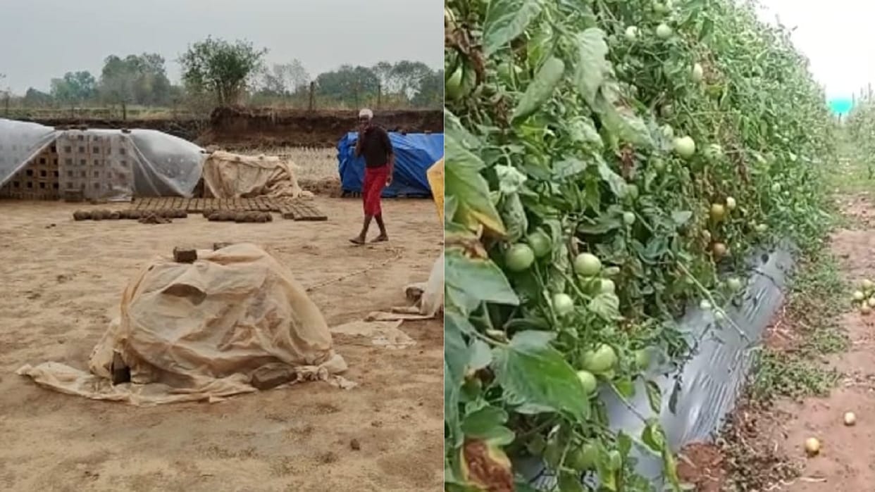 Chhattisgarh Weather Update Weather will change till March 20 due to yellow alert