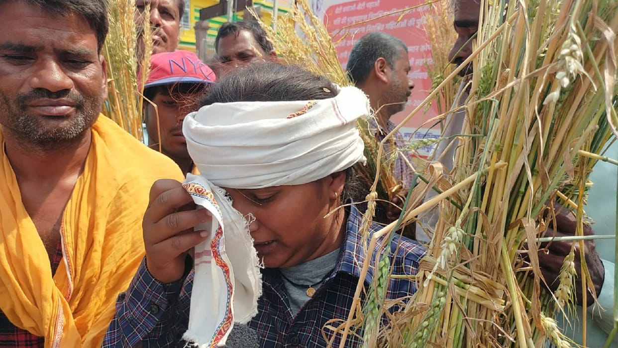 Farmers crops ruined due to hailstorm farmers told pain to SDM