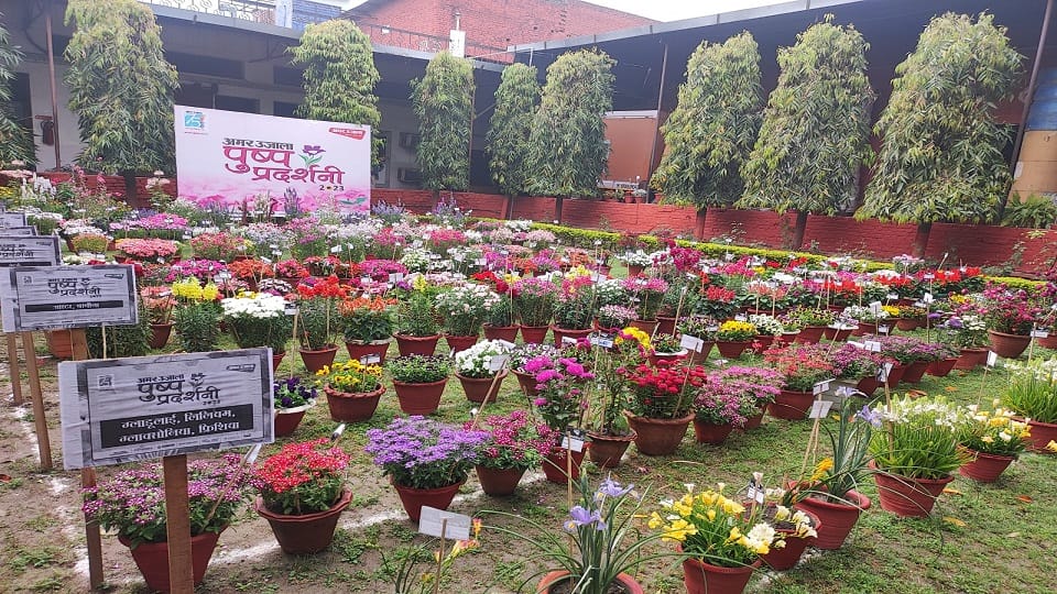 Amar Ujala flower exhibition starts today in Bareilly