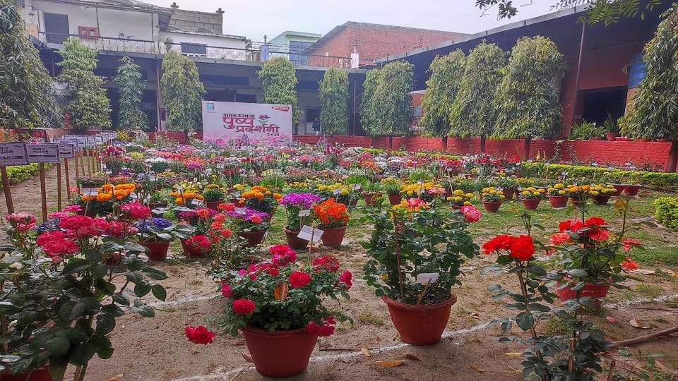 flower exhibition starting on March 15 in Amar Ujala complex Bareilly