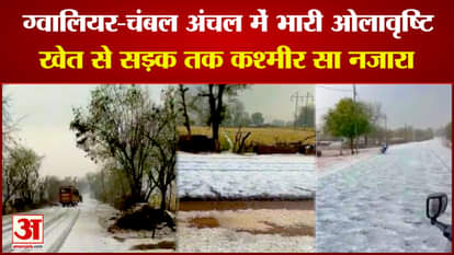 Heavy hailstorm in Gwalior-Chambal region, snow cover from farm to road, view like Kashmir