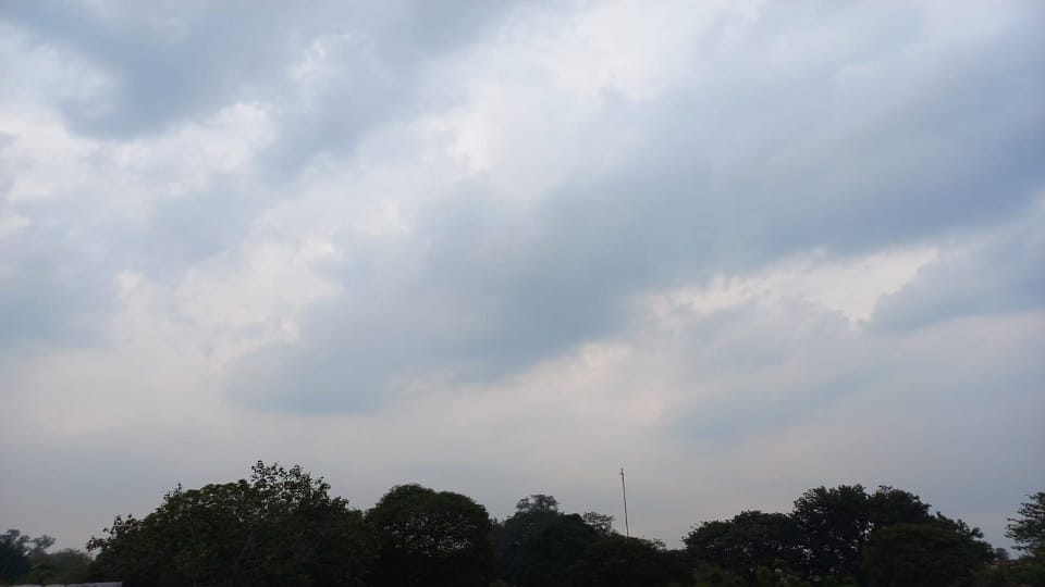 Intermittent rains in Haryana Farmers fear crop failure Meteorological Department warns