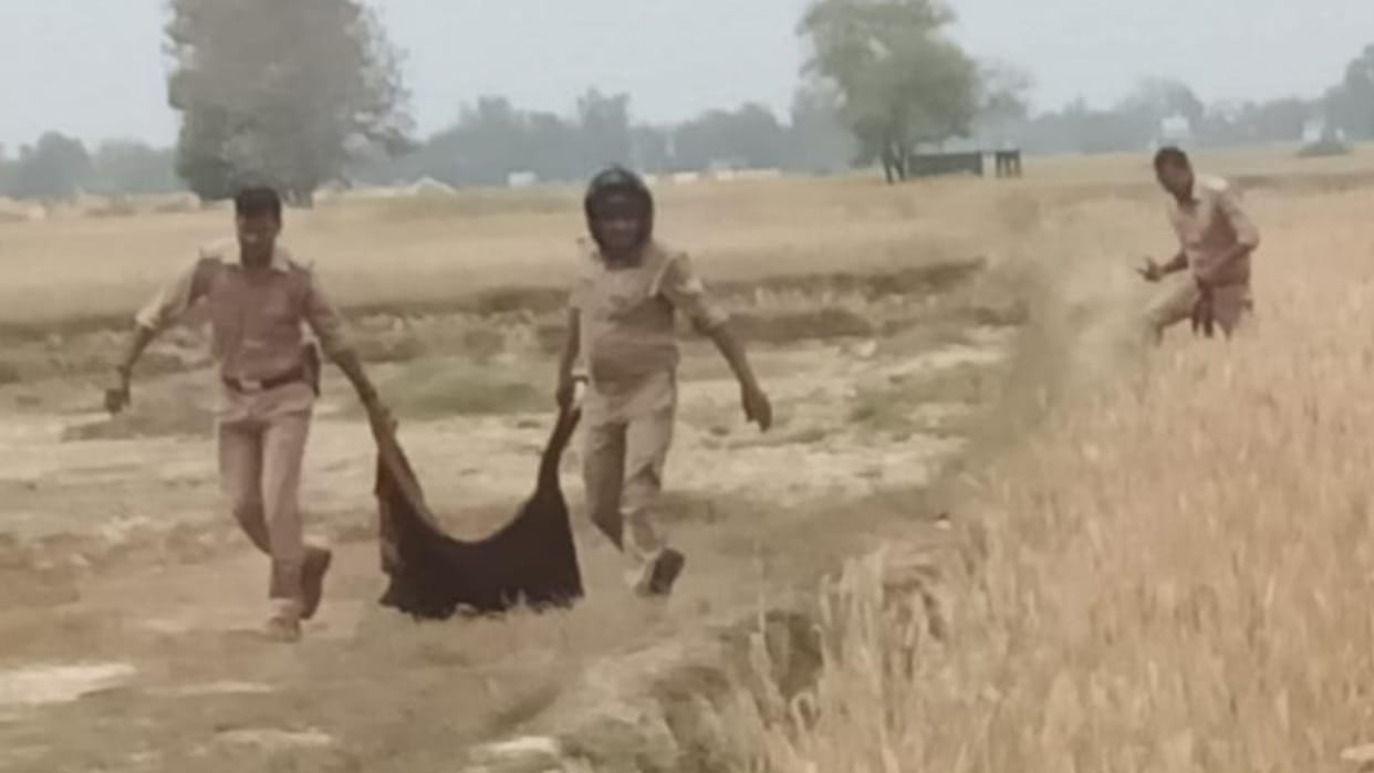 Sensation after finding remains of animals in Gorakhpur