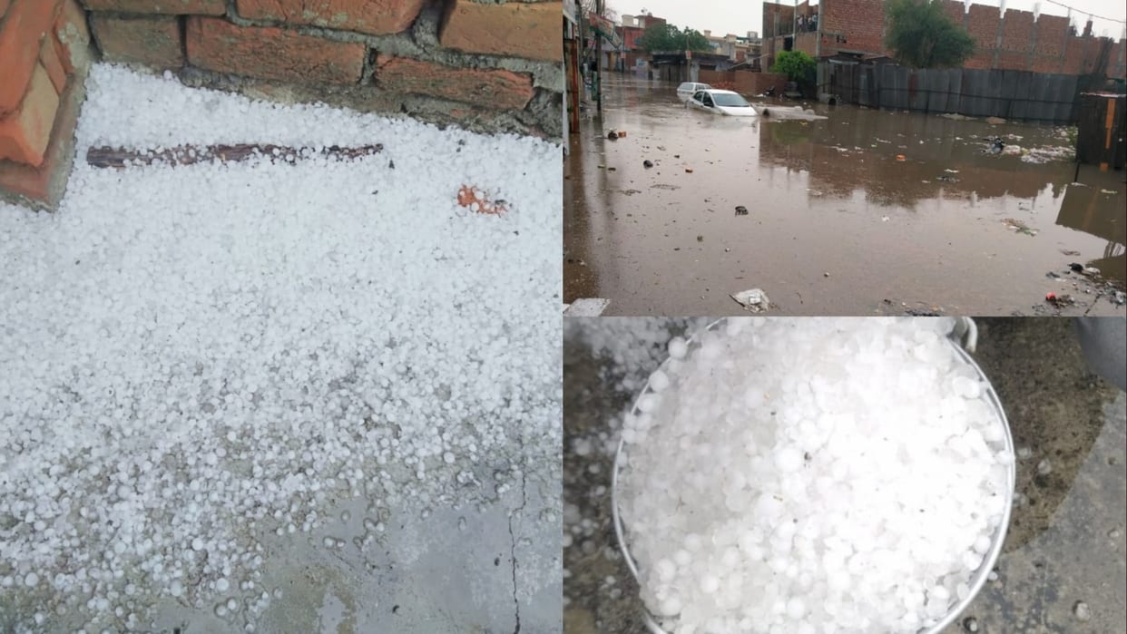 Rain and hailstorm occurred in many districts of Haryana