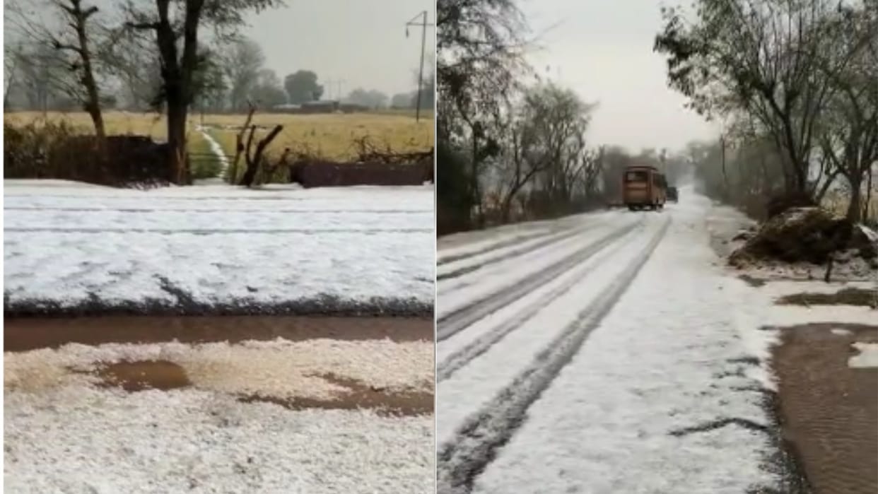 Gwalior Weather Today: Heavy Hailstorm in Villages of  Datia and Gwalior Kashmir Like View See Photos