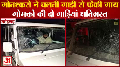 Cow Smugglers Threw Cow From Moving Vehicle In mahendragarh Of Haryana