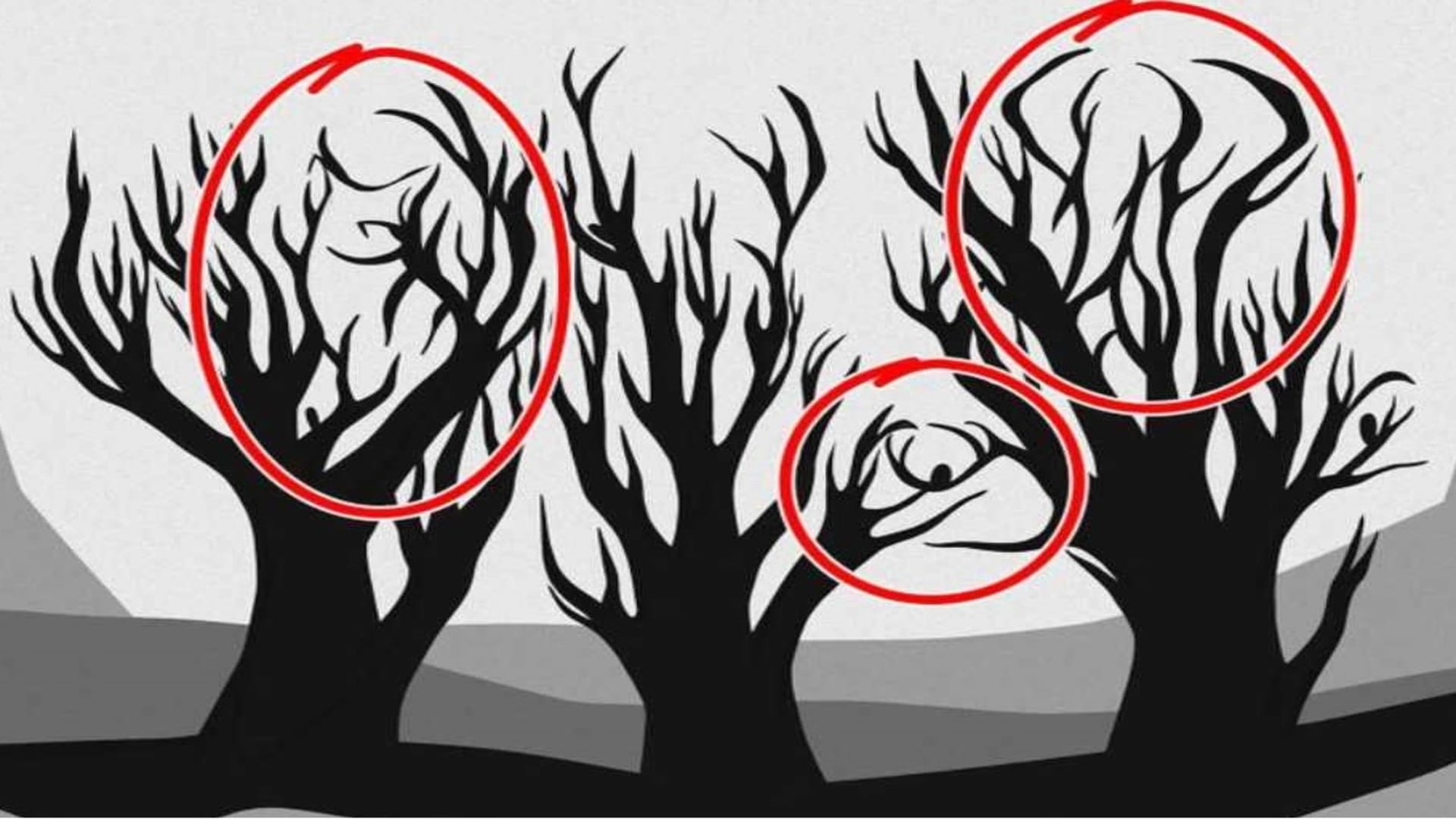 Optical Illusion IQ Test: Onle Genius to find all 3 Animals in the picture within the first 10 seconds