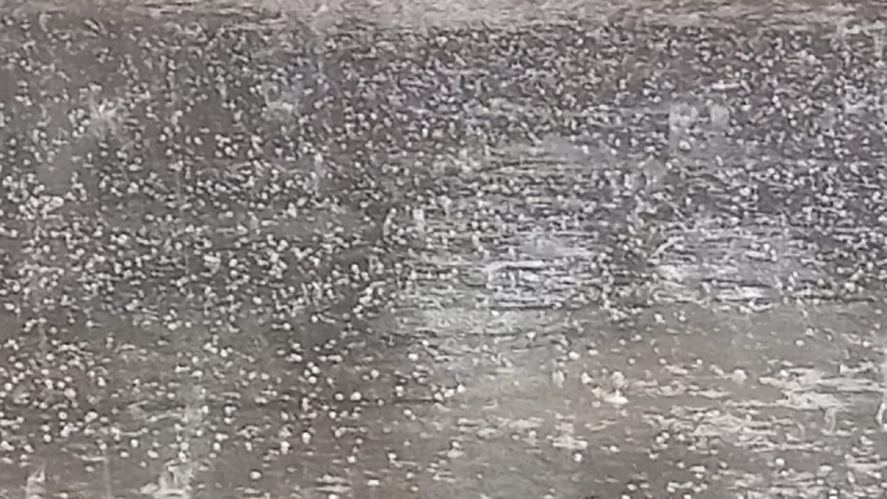 Weather Today Delhi Rain News: Heavy Rain in Delhi NCR Today, Delhi Me Barish Aur Mausam Ki Jankari