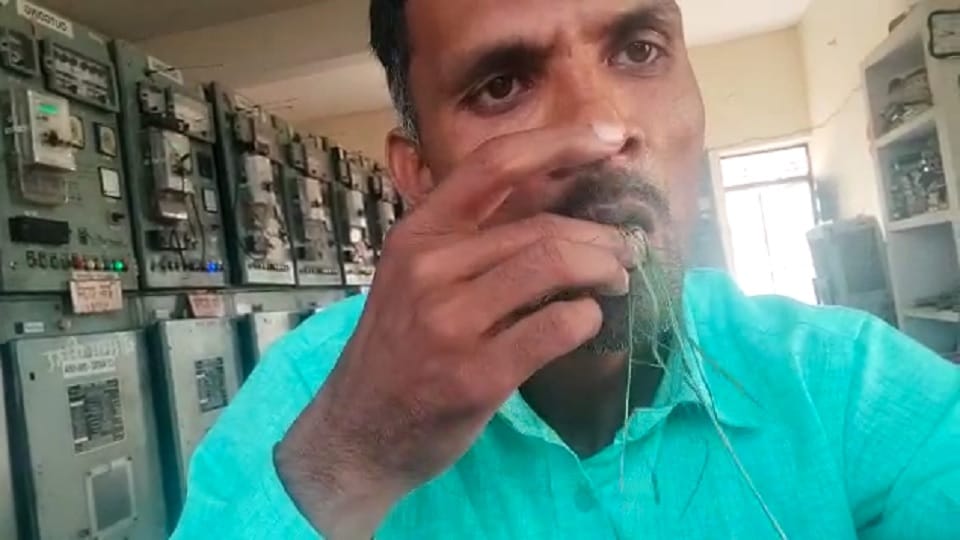 Electrician went viral by making a video of eating grass