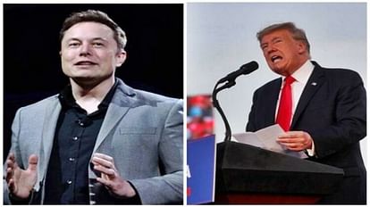 Former US President Donald Trump and Tesla CEO Elon Musk.
