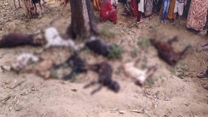 farmers worried due to rain and caused heavy damage to crops in Etah