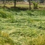 सांकेतिक तस्वीर