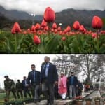 Tulip Garden Srinagar