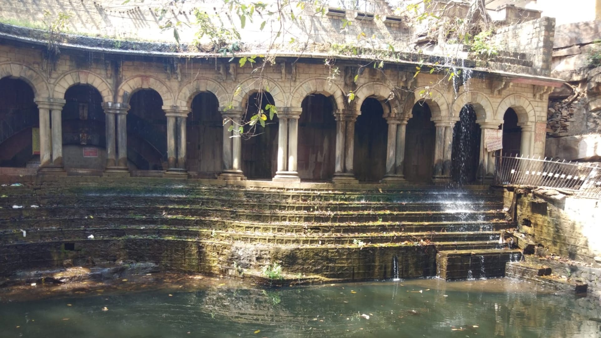 The plight of Sankhya Lake, a Ramsar site in Madhav National Park, water hyacinth spoils the natural beauty