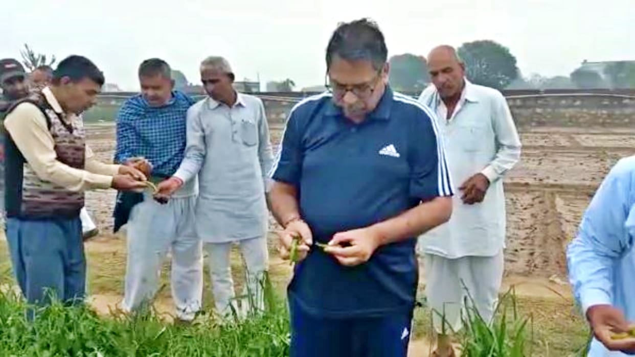 Poonia arrived in Amer to take stock of bad crops due to hailstorm