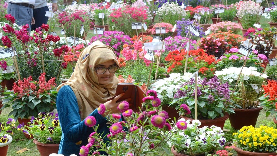 Bareilly Cantt Board won first place in flower exhibition by winning 78 prizes