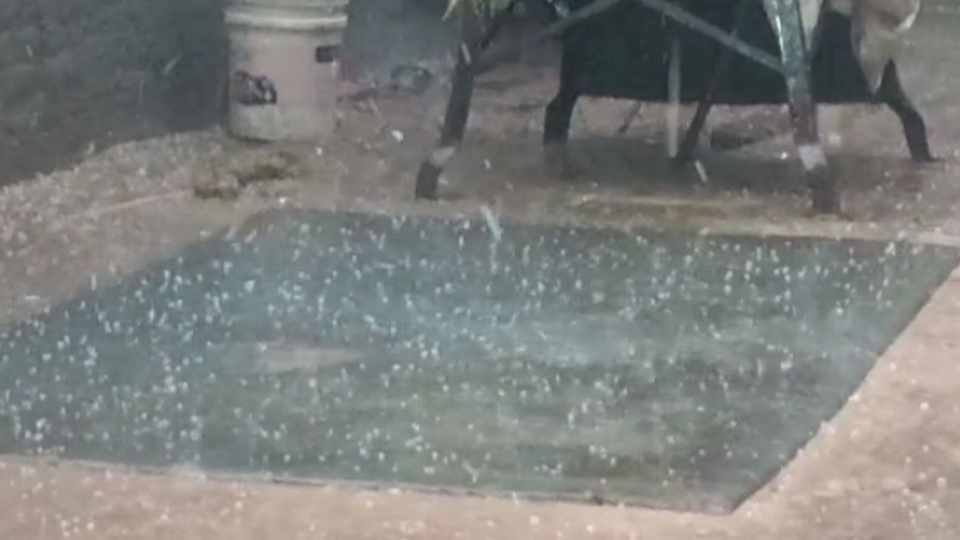 Damage to crops due to rain and hailstorm in Haryana