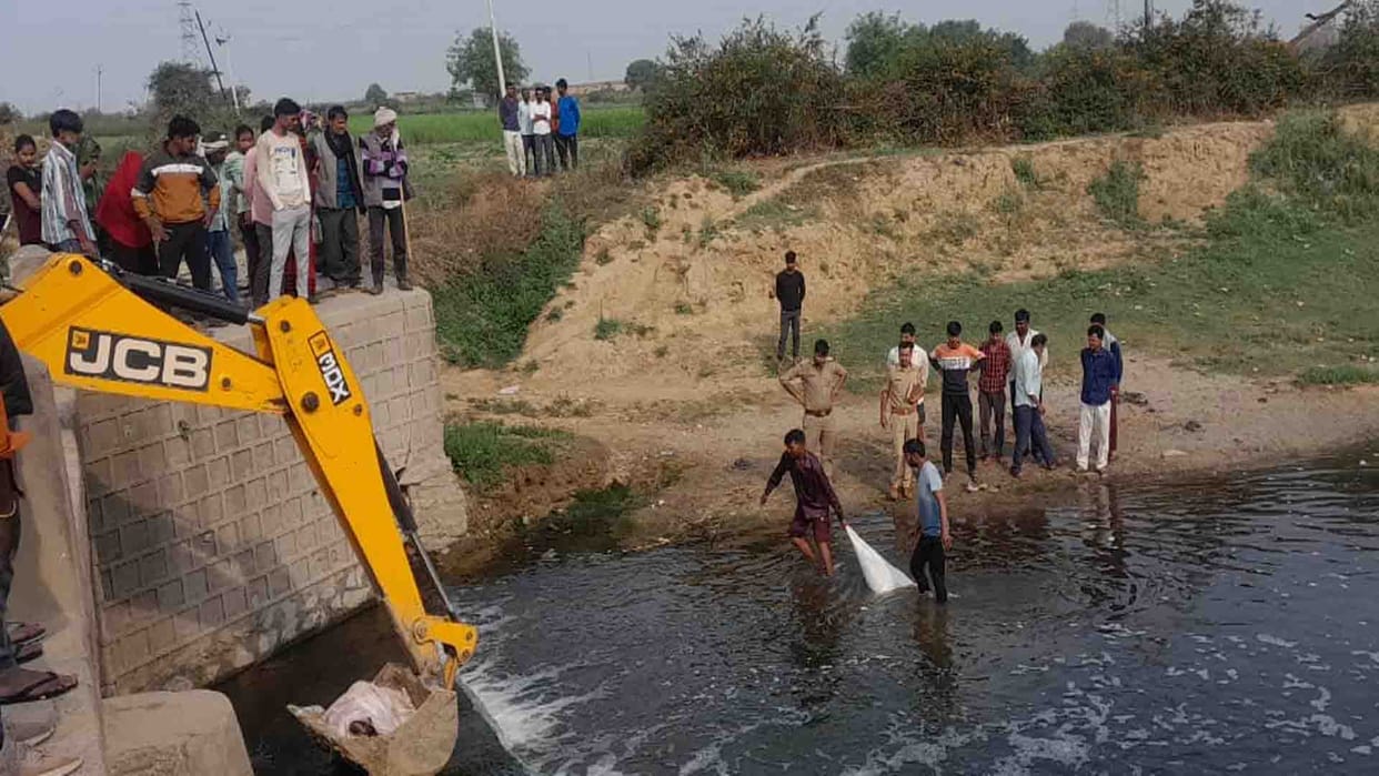 Jalaun: Cut remains of cattle found in sacks in Noon river