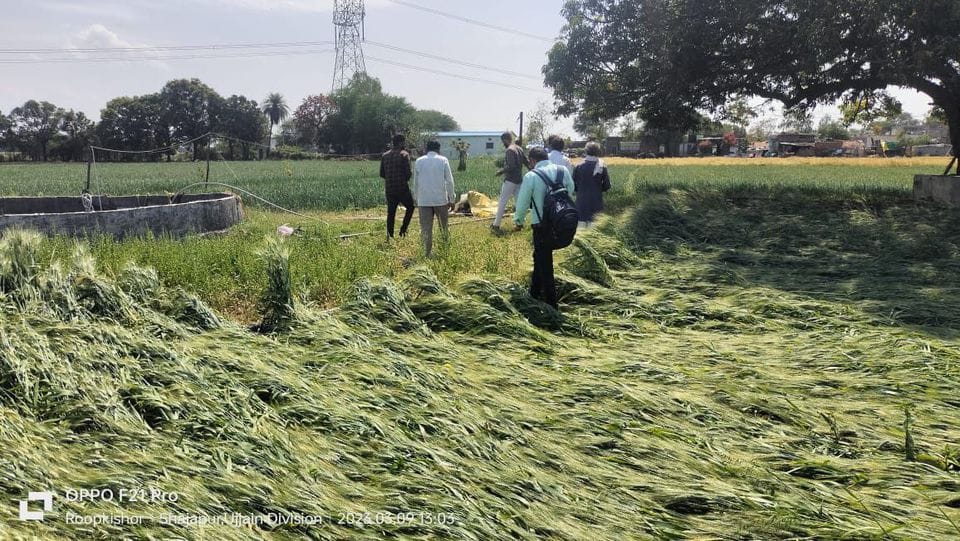 kisan farmer mp pain crop damage loss harm weather