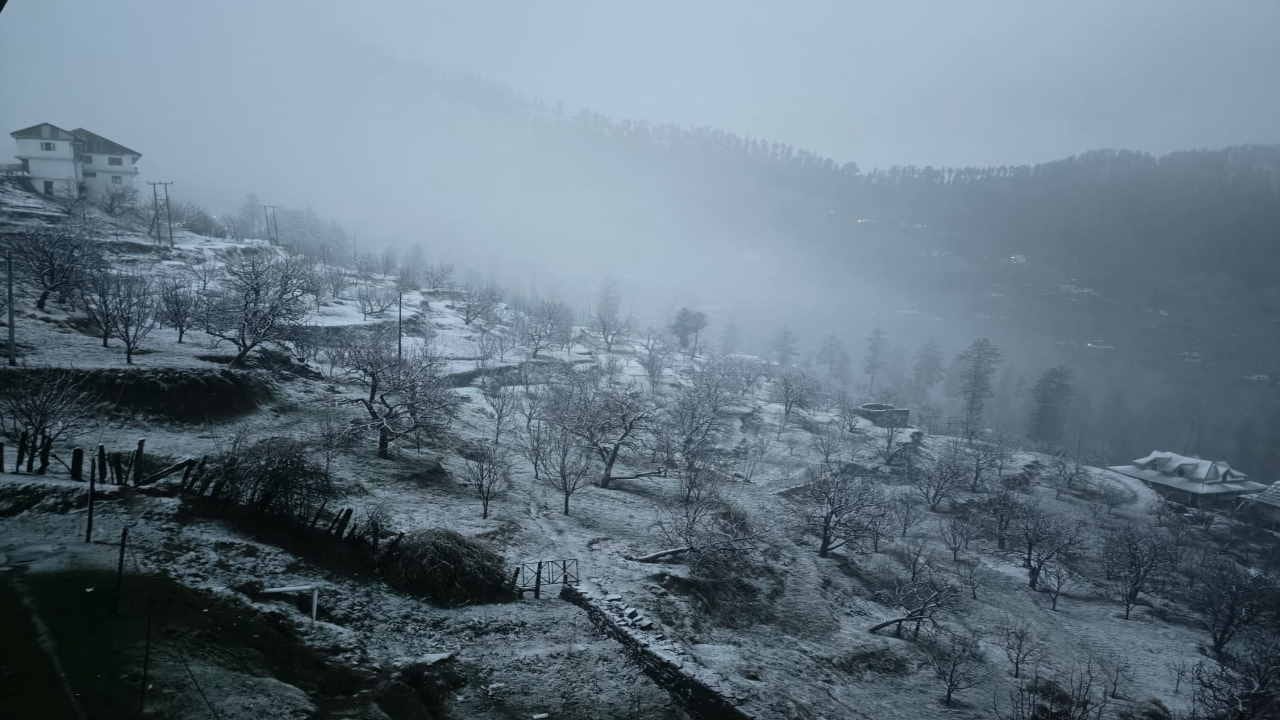 Himachal Weather update, Heavy rainfall in Shimla, snowfall in high altitude areas, hailstorm in Kasauli, see