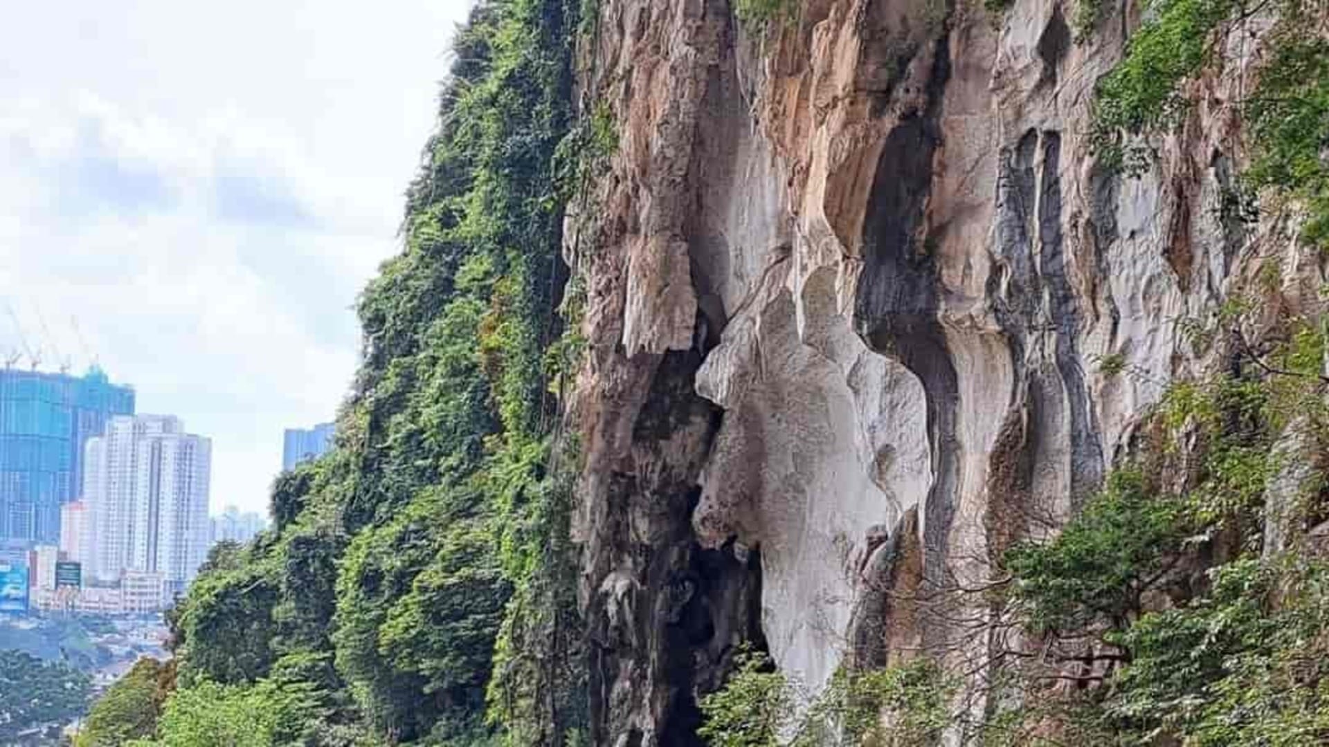 Optical Illusion IQ Test: Can you spot a hidden monkey on the hills in 11 seconds? brain teaser picture puzzle