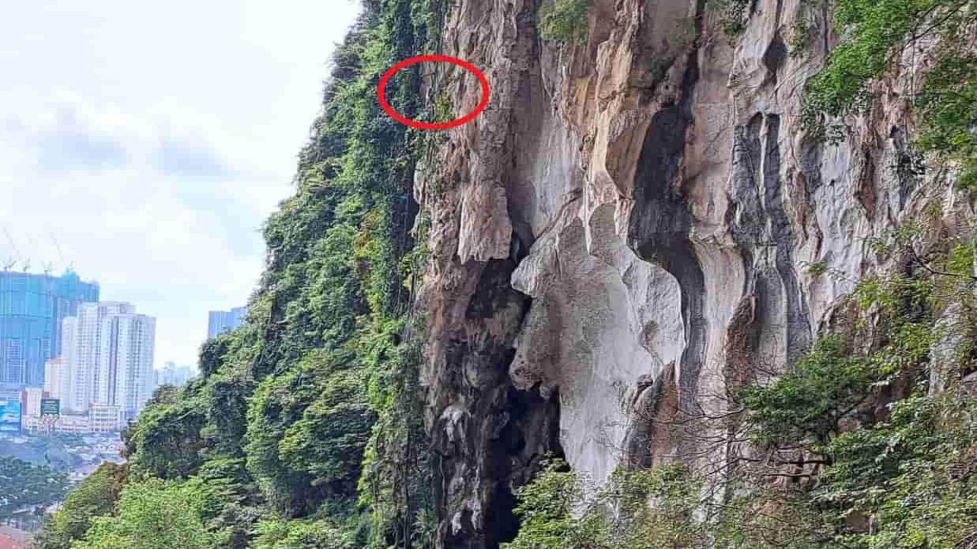 Optical Illusion IQ Test: Can you spot a hidden monkey on the hills in 11 seconds? brain teaser picture puzzle