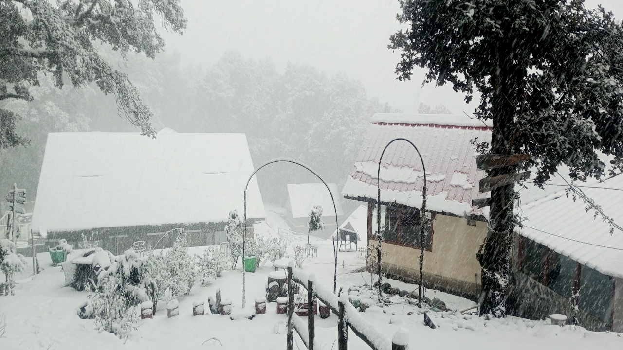 Himachal Weather update, Heavy rainfall in Shimla, snowfall in high altitude areas, hailstorm in Kasauli, see