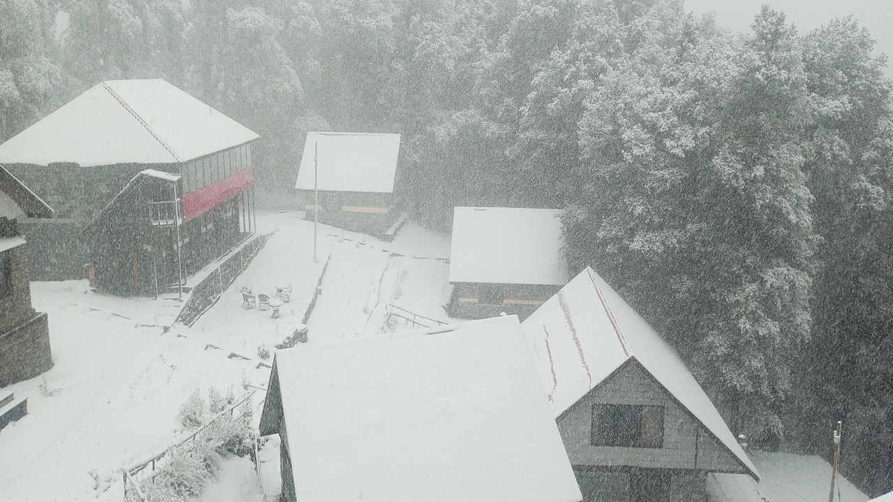 Himachal Weather update, Heavy rainfall in Shimla, snowfall in high altitude areas, hailstorm in Kasauli, see