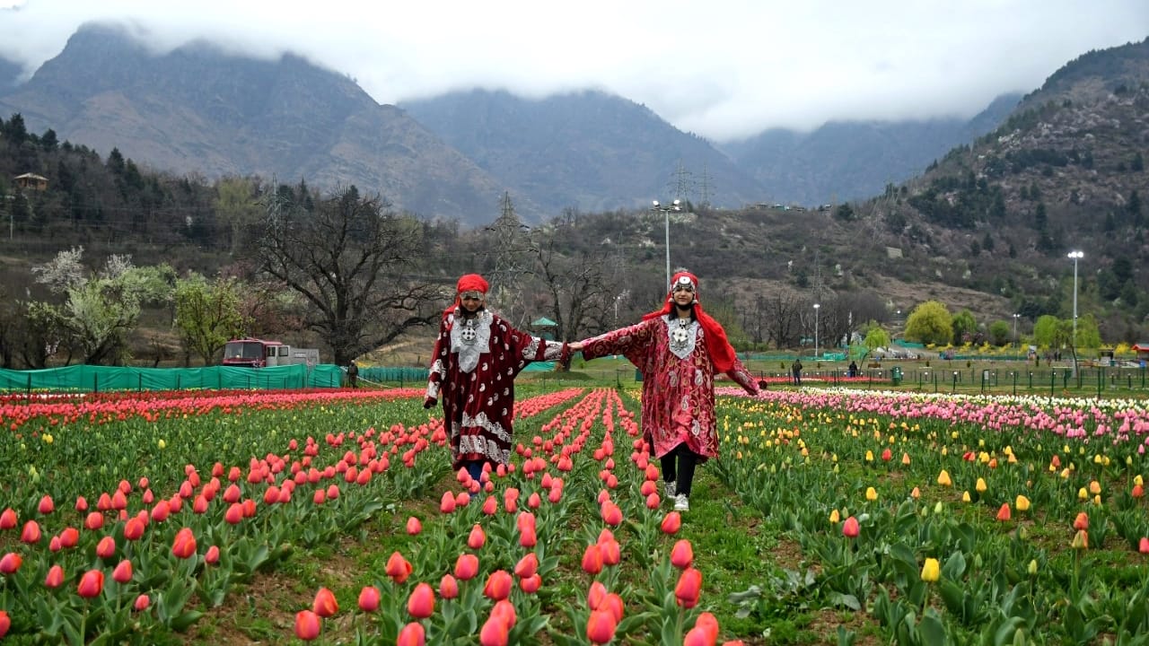 Asia largest tulip garden in kashmir photos opened for tourists more than one million flowers fascinate