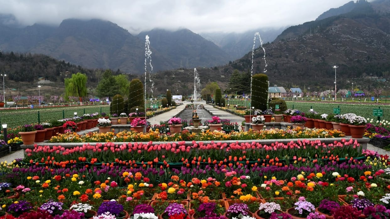 J&K: America, China will make films in the valley, good response to TOEFL