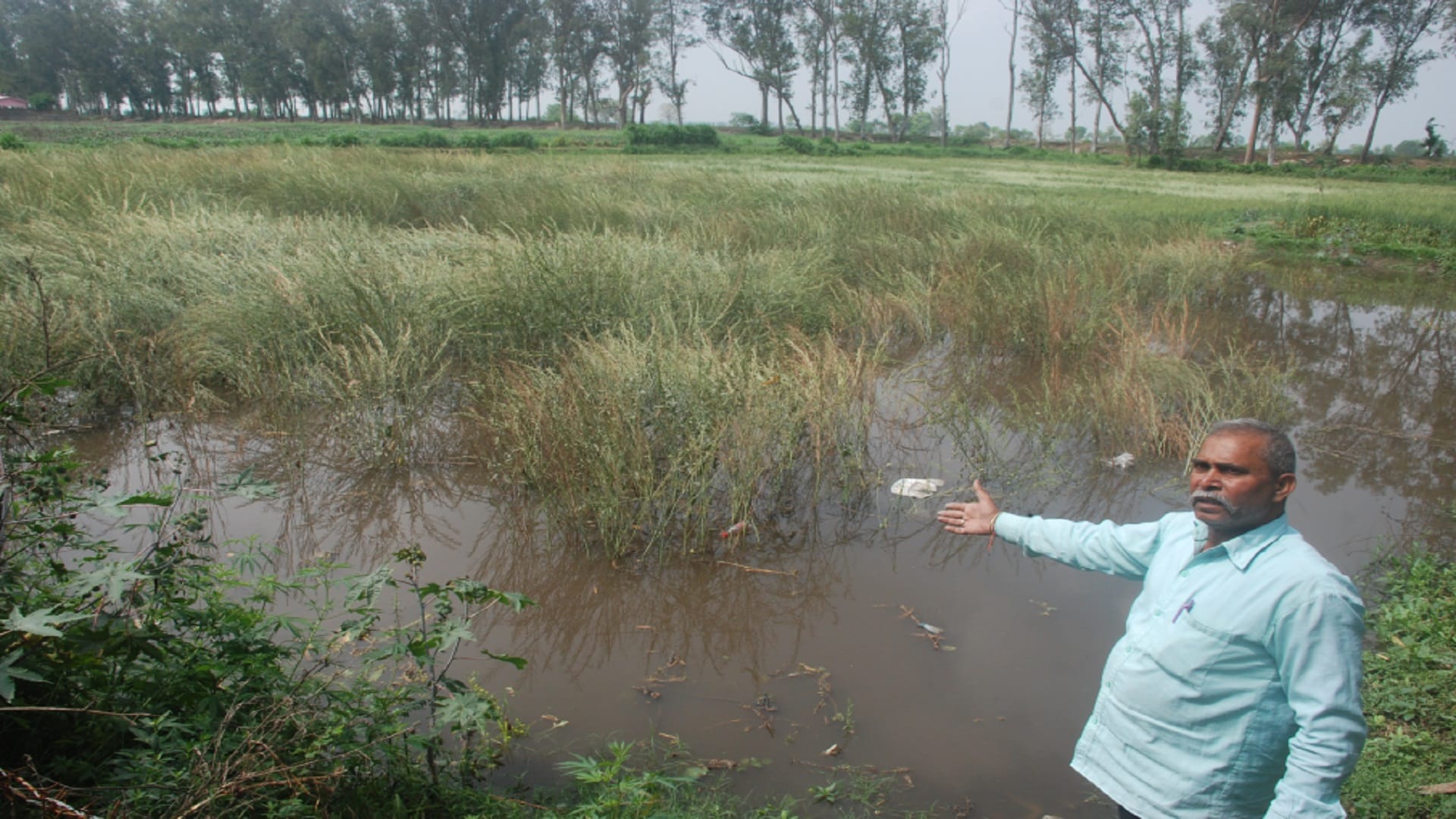 UP: Vegetable and wheat mustard crops have damaged due to rain and hailstorm in Baghpat and see photos