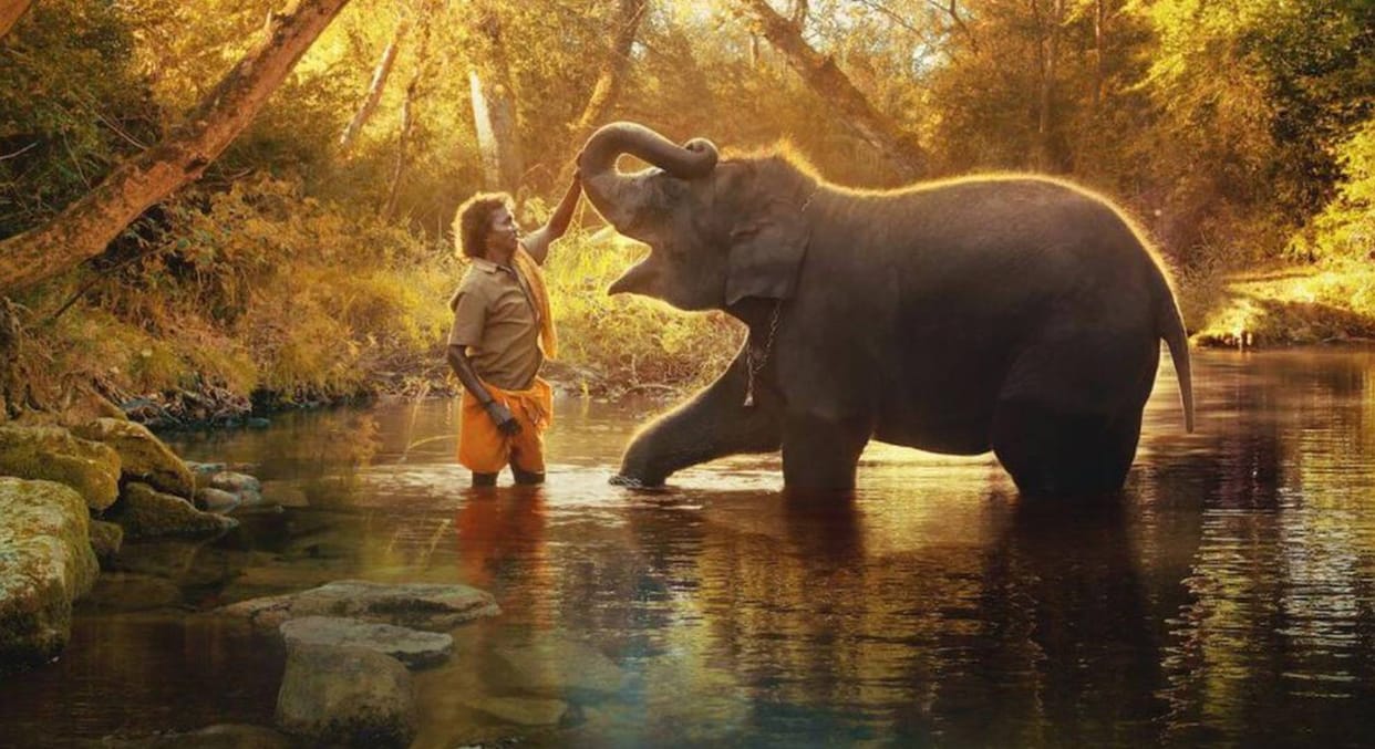 Tamil Nadu CM MK Stalin felicitates Oscar winner The Elephant Whisperers  director Kartiki Gonsalves